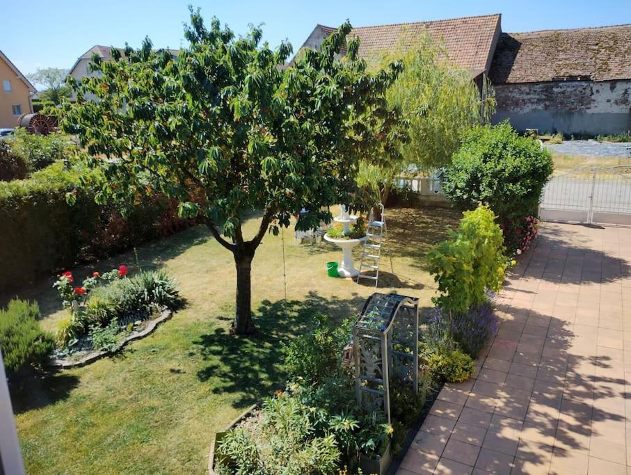 Gite Alsace Appenwihr Exteriör bild