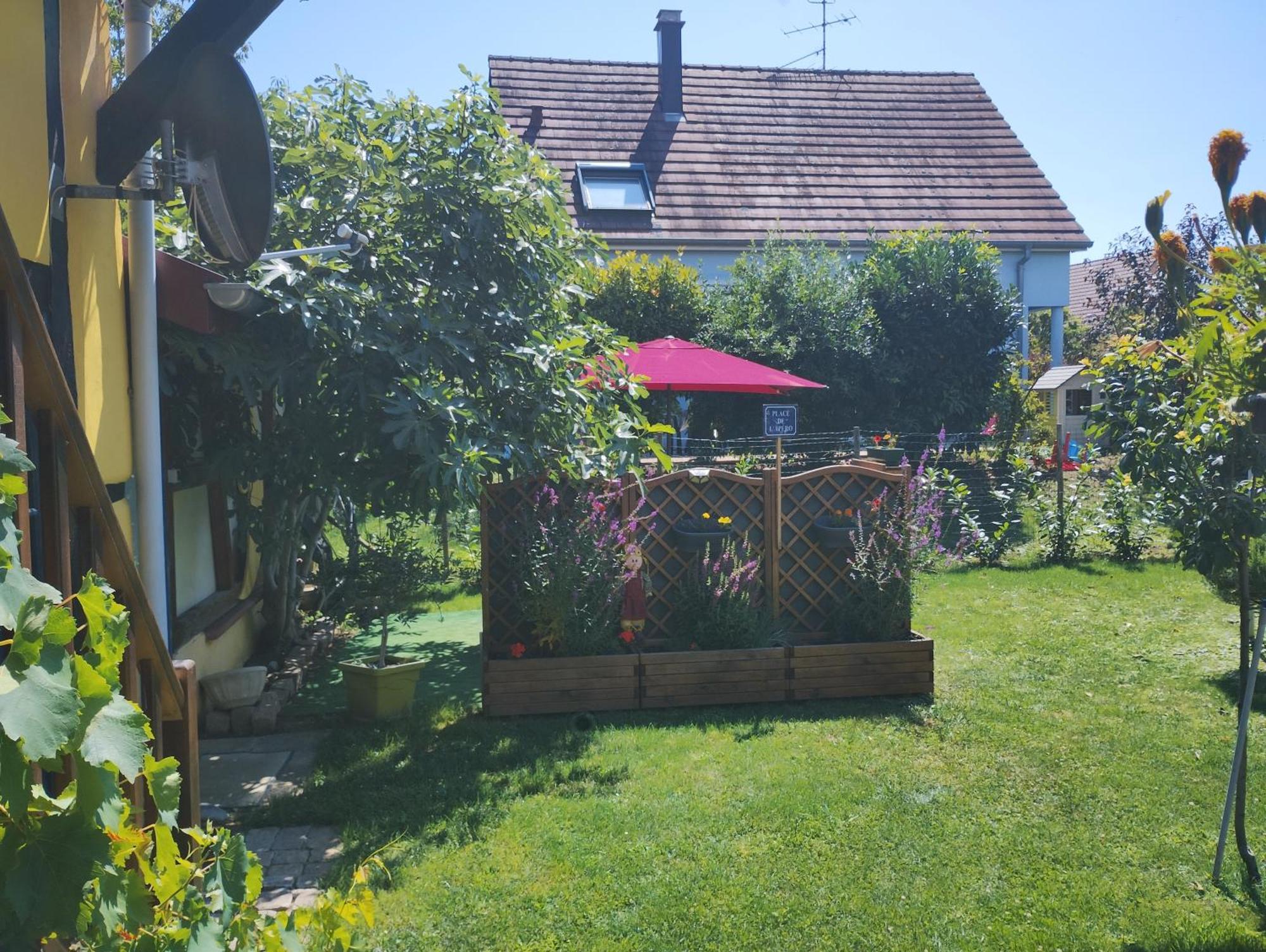 Gite Alsace Appenwihr Exteriör bild